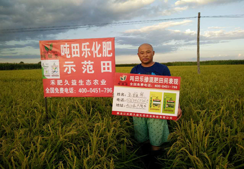 示范田展示 示范田展示